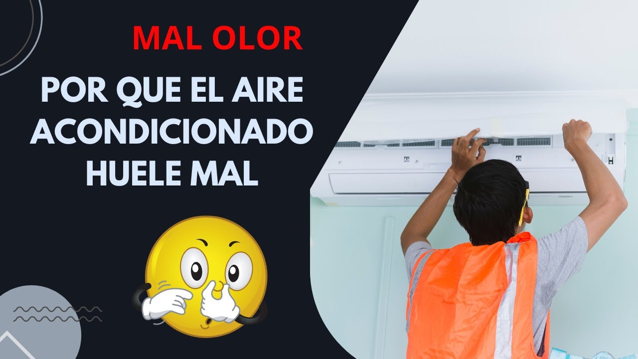 Cómo elegir el programa correcto en el lavavajillas según la suciedad