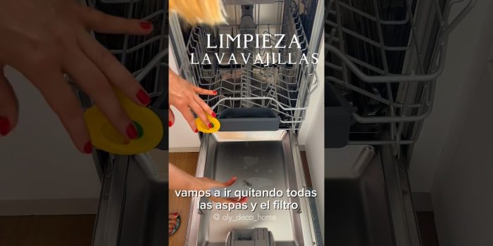 Señales de atasco interno en el lavavajillas doméstico